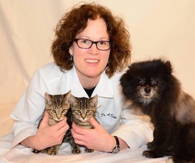 Angela Duke, DVM