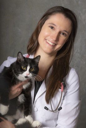 Hilary Coulombe, DVM