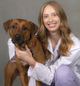 Nicole Hoogerhyde, DVM